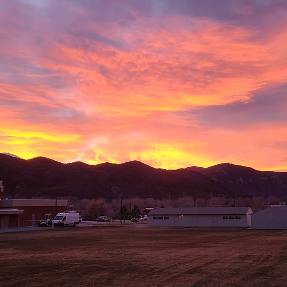 Meet your Posher, Max - Picture 1 of 1